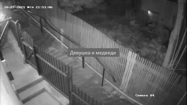 Медведи чуть не растерзали девушку прямо у её дома смотреть онлайн