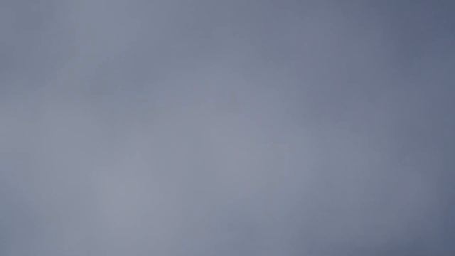 У Пушкалова А. (Лось) Голуби на подкиде. смотреть онлайн