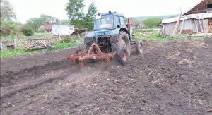 МТЗ-80 работает с ПЛОСКОРЕЗОМ