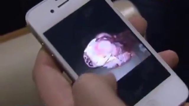 Что скрывает метро Москвы Последние новости смотреть онлайн