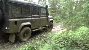 Гибридная личность