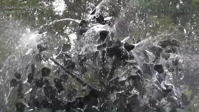 Фестиваль "Липецкое городище" - 2019 (часть 3) смотреть онлайн