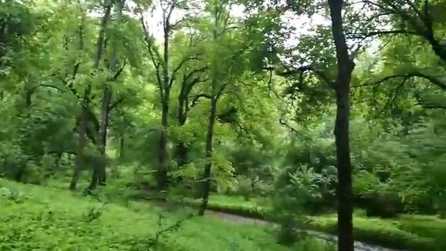 Кыргызстан, одно из самых красивых мест Кара - Алма смотреть онлайн