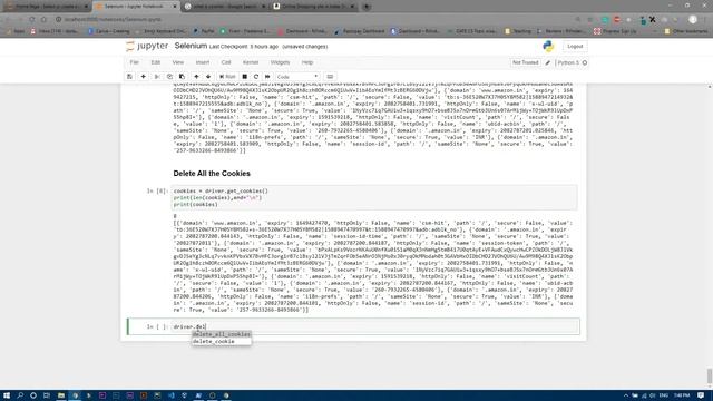 Delete All The Cookies | Selenium Tutorial 20.4 смотреть онлайн