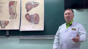 Лекция "Анатомия и физиология больших пищеварительных желез"