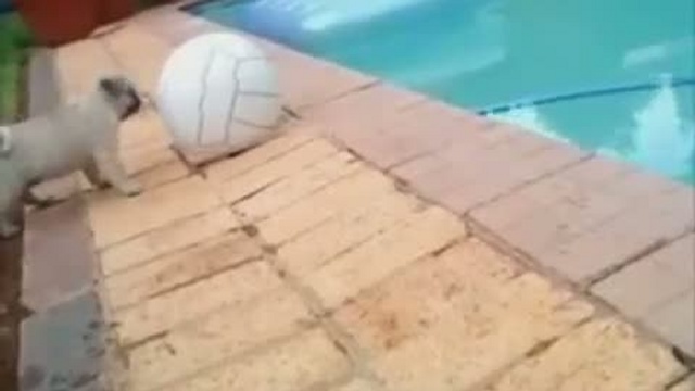 Внезапно.. / www.kengarags.ru смотреть онлайн