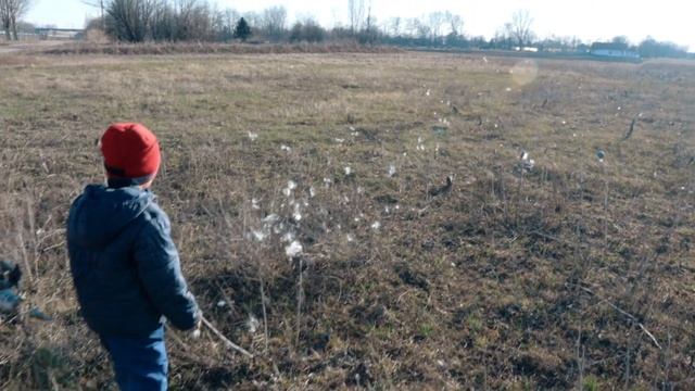 Сколько можно заработать на сборе алюминиевых банок ? смотреть онлайн