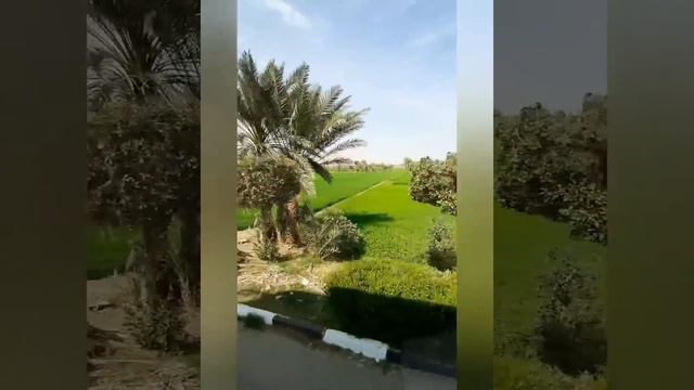 Экскурсия Луксор смотреть онлайн