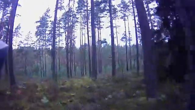 Алоль 2012. Шестиэтапная эстафета. смотреть онлайн