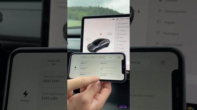 Как проверить скручен ли пробег у Tesla? Обзор скрытого функционала Teslogic смотреть онлайн