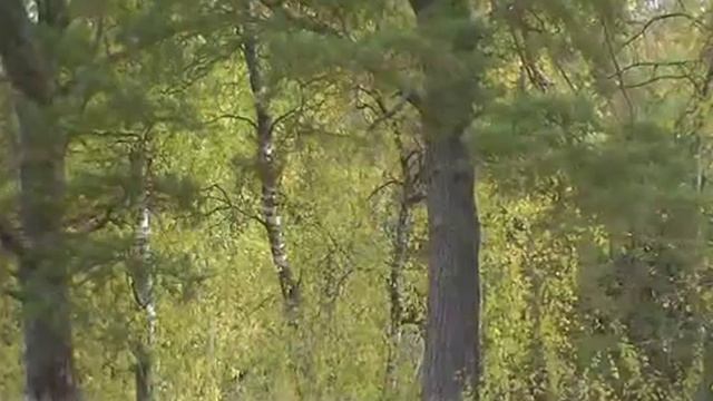 Красоты октября смотреть онлайн
