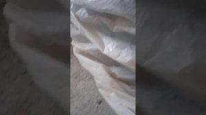 Складирование и сушка тротуарной плитки.