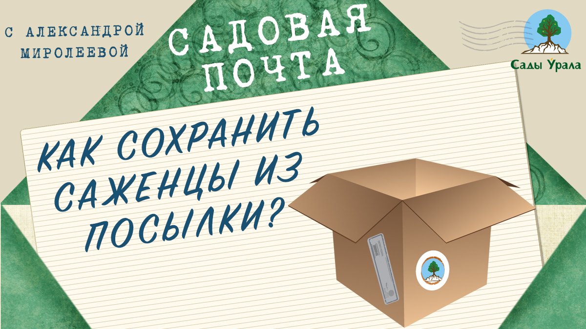 Садовая почта: Как сохранить саженцы из посылки? Выпуск 2 смотреть онлайн