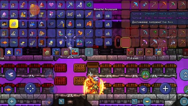 рабочие серверы в terraria 1.4.4.9.5 смотреть онлайн