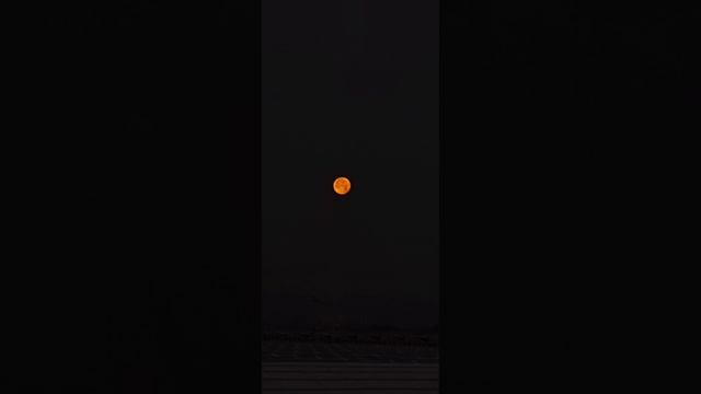 Чеченская новинка-Хьомениг хьо цхьаъ ву са даг чохь!#чеченскиепесни #музыка2023 #музыкальное #врек смотреть онлайн