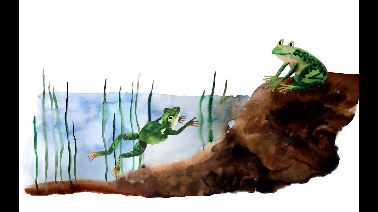 13. Земноводные. Часть 1 смотреть онлайн