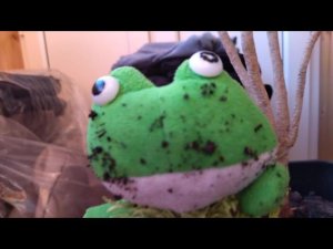 ЖАБУШКА НА ПИКНИКЕ! ЛЮТЫЙ ТРЕШ! ОПЕРЦИЯ ГУСЕНИЧКЕ! ВАЛЕРА БЕЗ ПОЧЕК!!