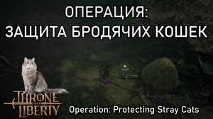 Операция: Зашита бродячих кошек. Трон Либерти.
Opetion: Protecting Stray Cats. Throne and Liberty.