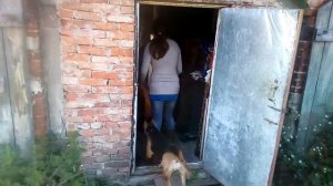 Кабан зашел в дом.