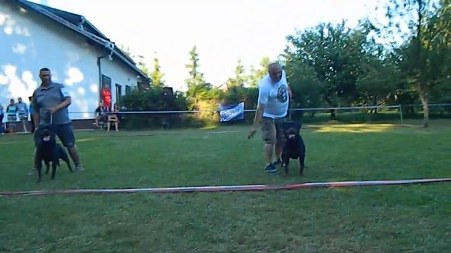 BETA V2 Working class at Croatian Klubsieger show смотреть онлайн
