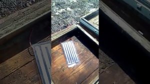 пробный  обогрев пчёл