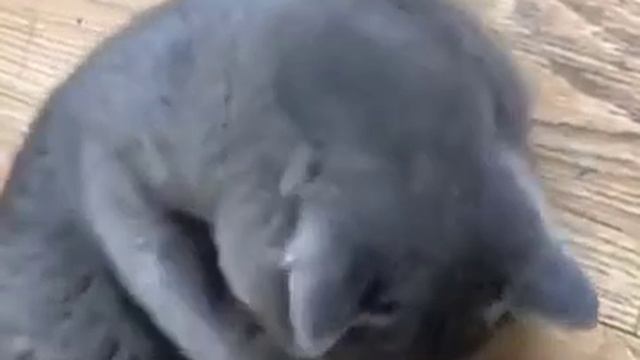 уткина мама смотреть онлайн