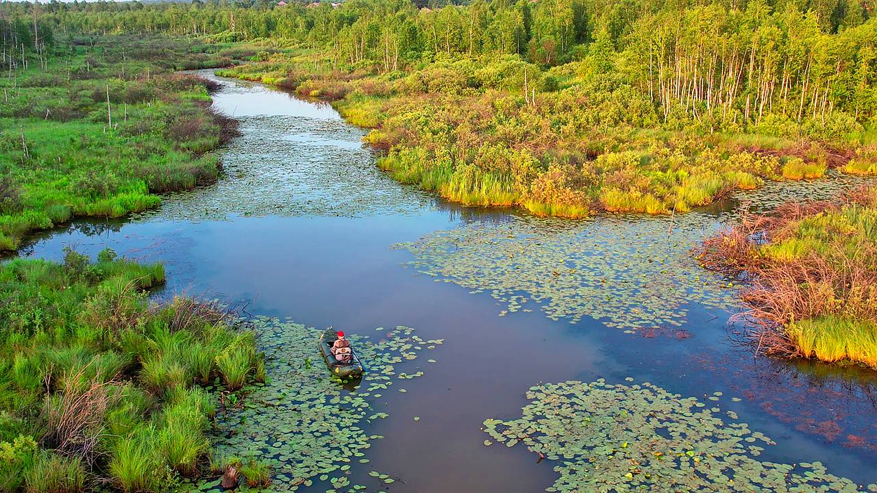 Рыба везёт лодку! Нарвался в омуте на крокодилов. Речка выдала крупняк на воблеры! Супер рыбалка! смотреть онлайн
