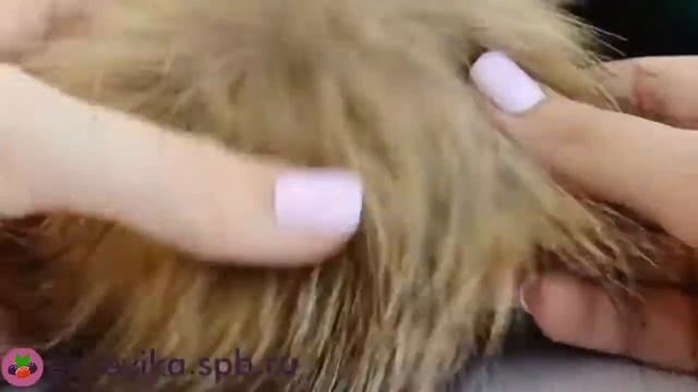 Меховые помпоны для шапок (диаметр 15-18 см) смотреть онлайн