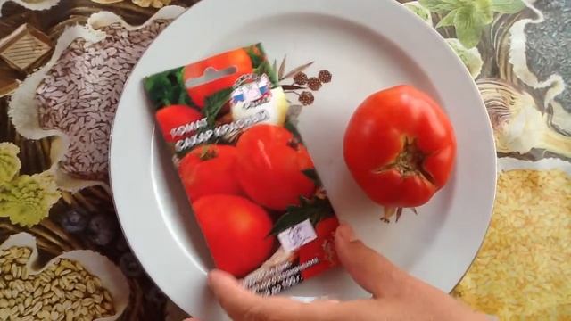 Томат "САХАР КРАСНЫЙ". Дегустация смотреть онлайн
