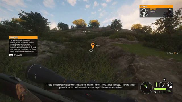 Almost vanilla Call of the Wild - Savanna Hunter Pt. 536 смотреть онлайн