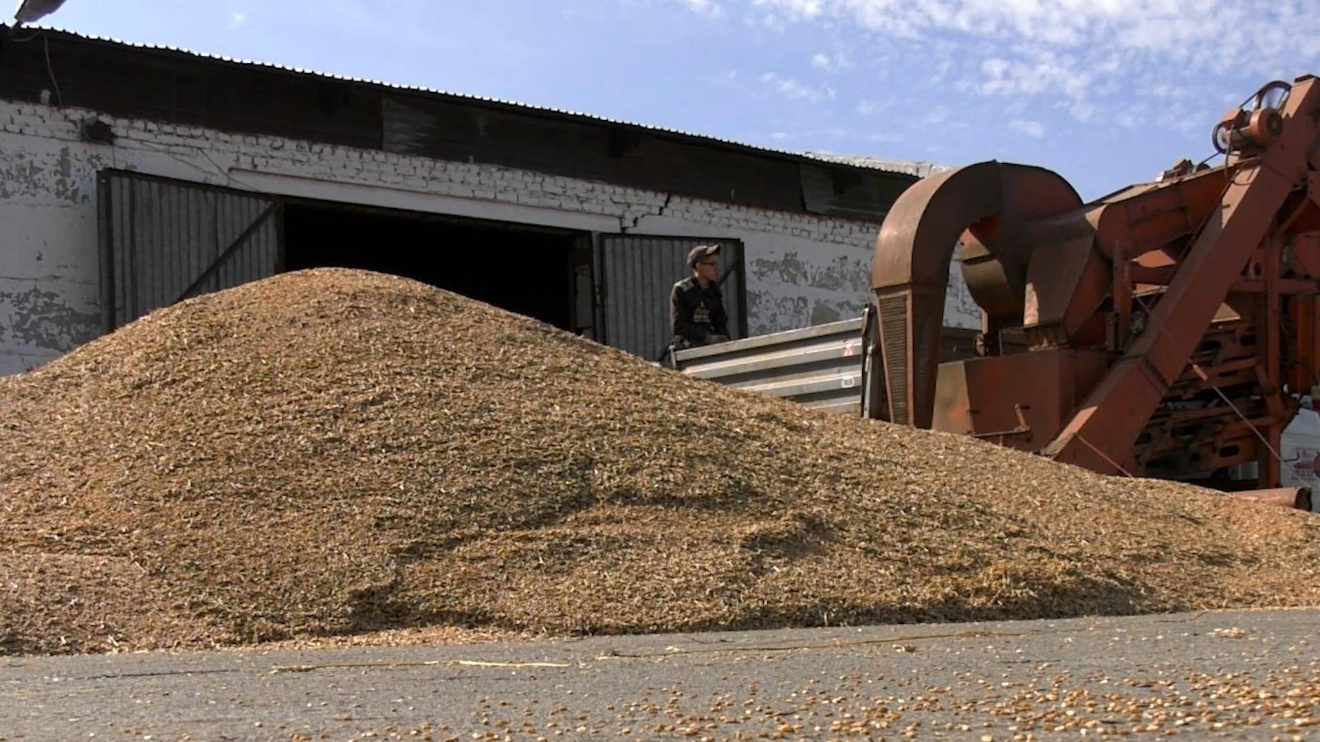 Завершили обмолот озимых культур смотреть онлайн