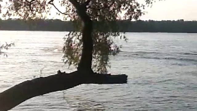 Хидея 9.8 и кандо 300 Обь смотреть онлайн