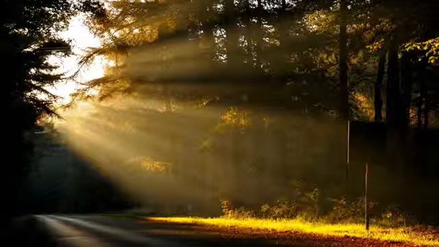 Painter Of The Wind Inst. 2