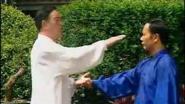 5 часть комплекса 88 форм тайцзицюань стиля Ян.