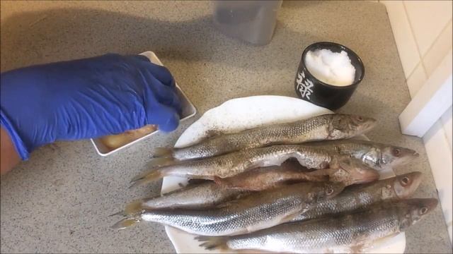 Анимационные Короткометражки