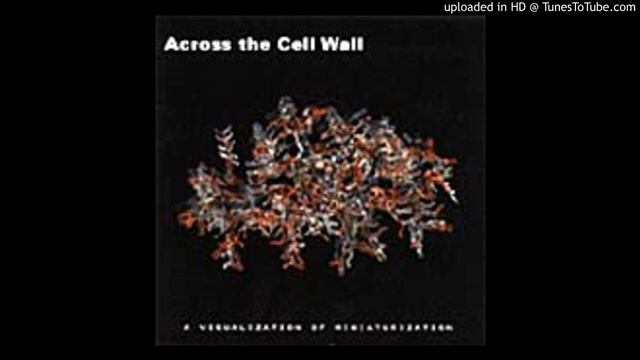 Stewart Walker - Untitled [kodama13] (2000) смотреть онлайн