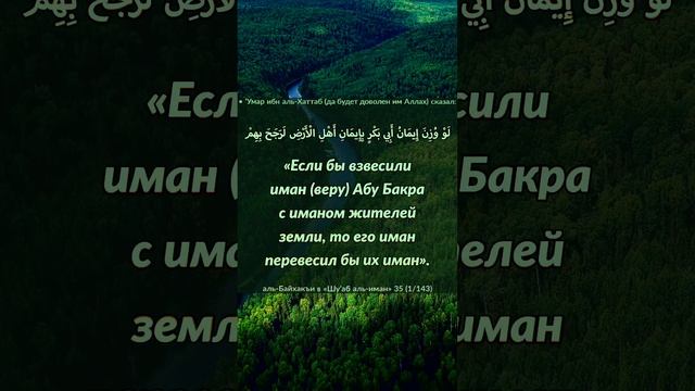 Если бы взвесить иман (веру) абу Бакра с иманом жителей земли, то его иман перевесил бы их иман смотреть онлайн