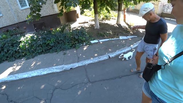 Наше утро) Альма на прогулке, Виноград детства, Покупки на рынке смотреть онлайн