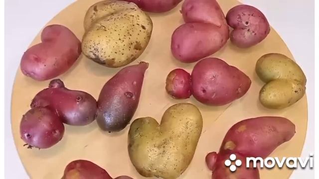картофель ???фигурный смотреть онлайн