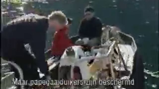 lundehund ng смотреть онлайн