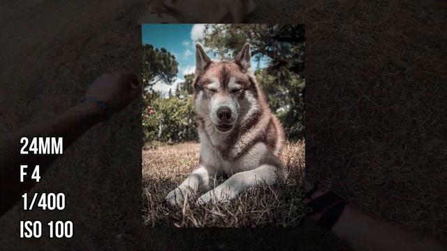 CÓMO HACER MEJORES FOTOS CON LENTE KIT - Retrato, Macro y más con canon 850D (t8i) + 18-55 mm ? смотреть онлайн