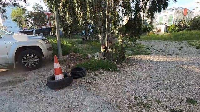 Ангина /Лекарства в Турции /Тонкие блины /Гуляш как в детстве /Солю форель