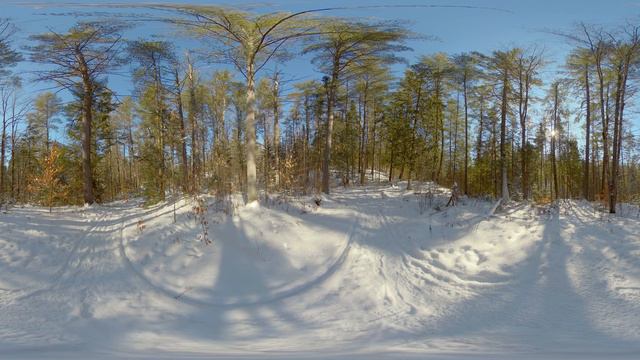 Forest Trail Junction in 360 (minus 23 celsius) смотреть онлайн