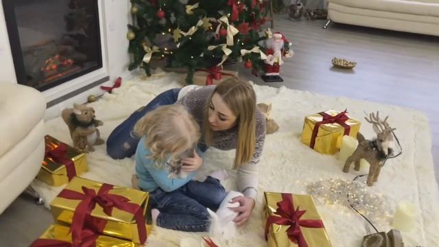 Новогодняя фотосессия Ангелины /питомцы / кролики / белка и нимфа / New Year's photo Angels/rabbit смотреть онлайн