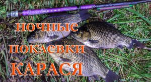 Ночные поклевки карася на поплавок