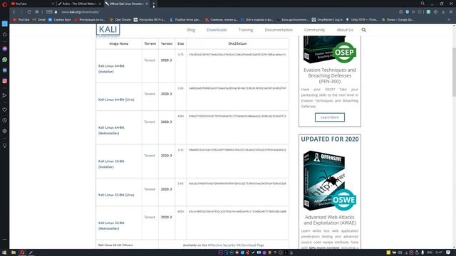 ⛔️ ДЕЛАЕМ ЗАГРУЗОЧНУЮ ФЛЭШКУ С KALI LINUX С СОХРАНЕНИЕМ ⛔️ смотреть онлайн