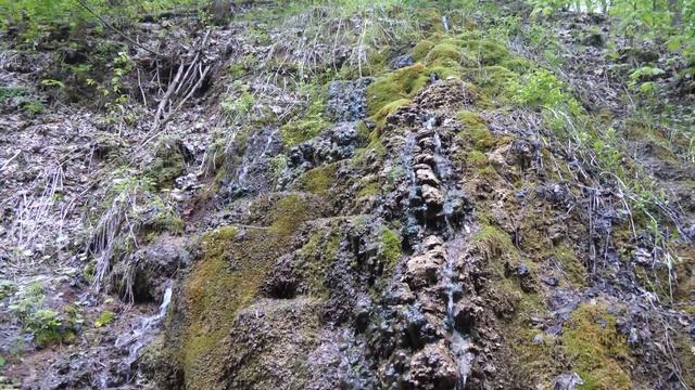 Зуевы ключи - родник «Гремячий ключ» ❤ Дерево желаний смотреть онлайн