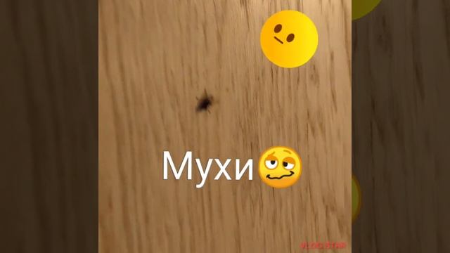 Яхонты отель Истра((( смотреть онлайн