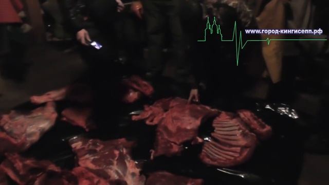В Кингисеппском районе полицейского нашли по следам крови смотреть онлайн