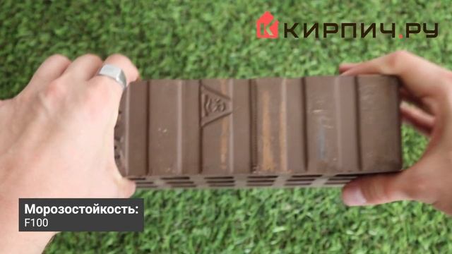 Кирпич облицовочный коричневый одинарный дерево М-175 ЖКЗ Код:11774 смотреть онлайн